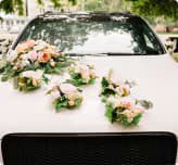 Wedding Cars